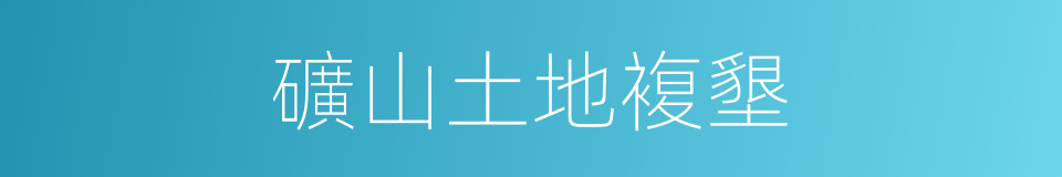 礦山土地複墾的同義詞