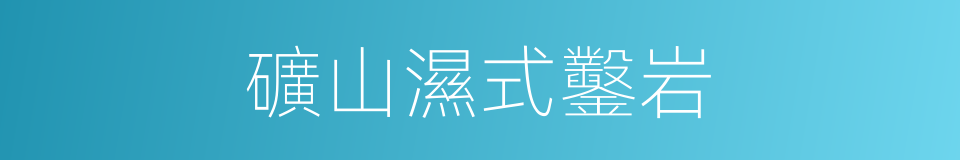 礦山濕式鑿岩的同義詞