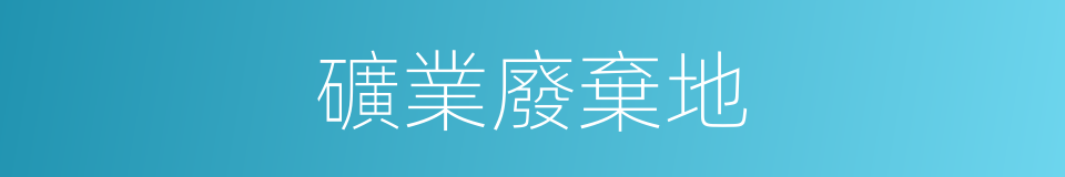 礦業廢棄地的同義詞