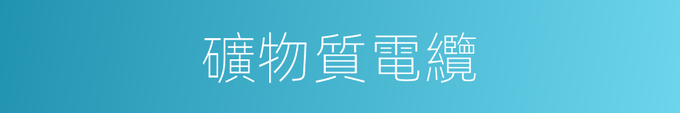 礦物質電纜的同義詞
