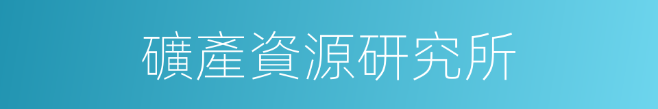 礦產資源研究所的同義詞