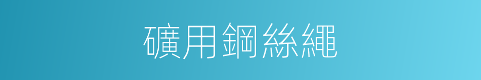 礦用鋼絲繩的意思