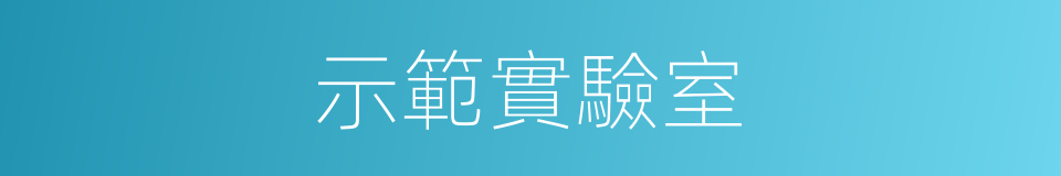 示範實驗室的同義詞