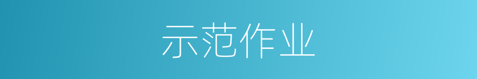 示范作业的同义词