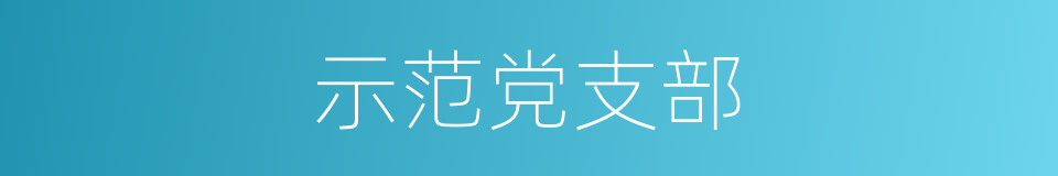 示范党支部的同义词