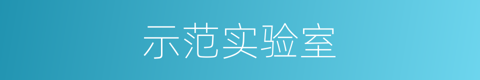 示范实验室的同义词