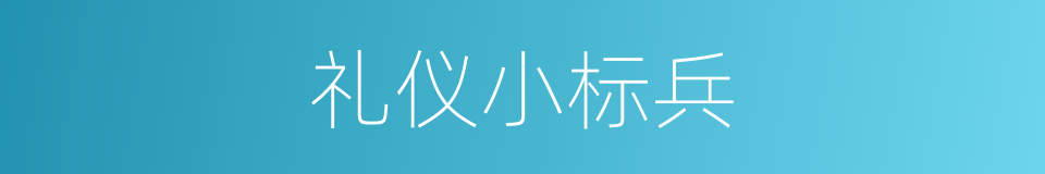 礼仪小标兵的同义词