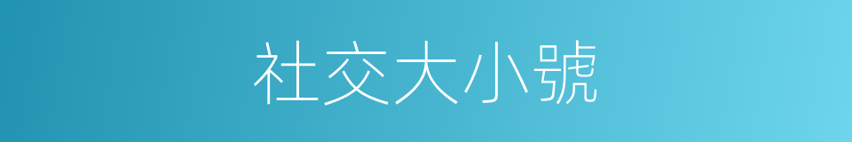 社交大小號的同義詞