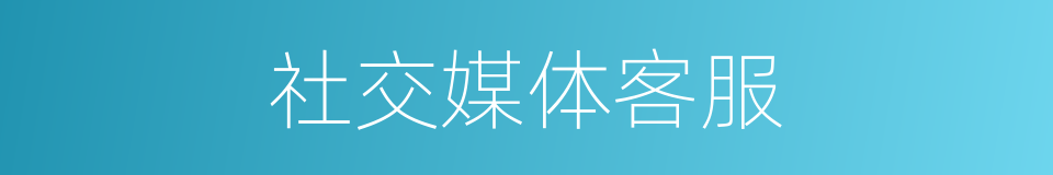 社交媒体客服的同义词