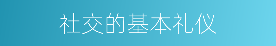 社交的基本礼仪的同义词