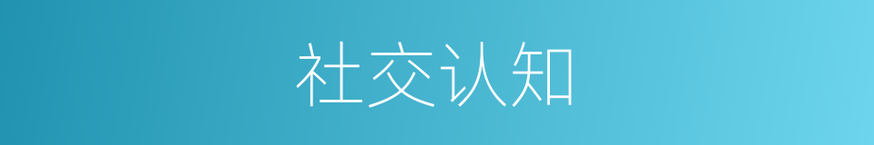 社交认知的同义词