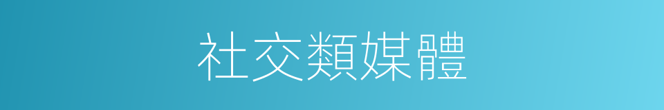 社交類媒體的同義詞