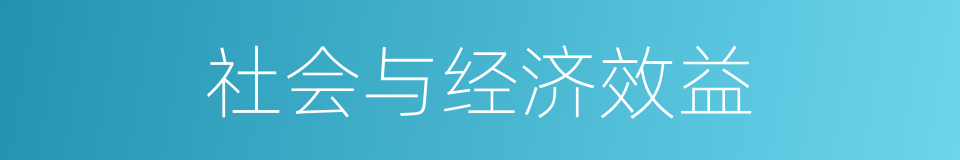 社会与经济效益的同义词