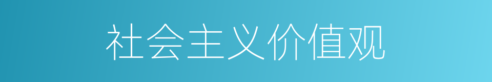 社会主义价值观的同义词