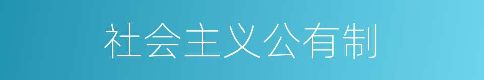 社会主义公有制的同义词