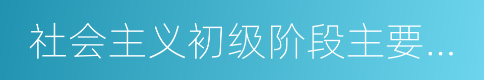 社会主义初级阶段主要矛盾的同义词