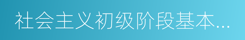 社会主义初级阶段基本纲领的同义词