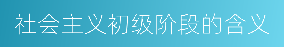 社会主义初级阶段的含义的同义词