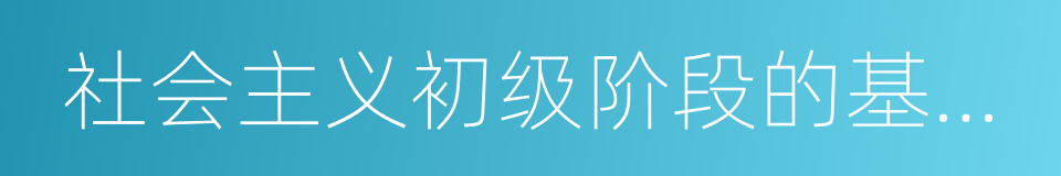 社会主义初级阶段的基本国情的同义词