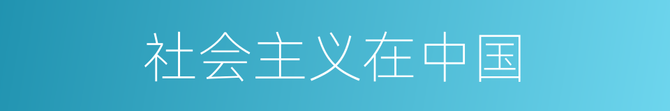 社会主义在中国的同义词