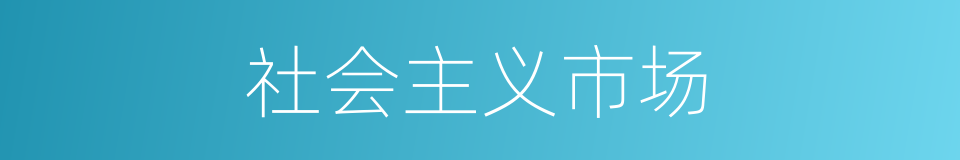 社会主义市场的同义词