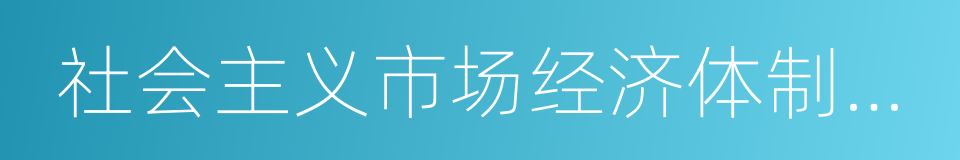 社会主义市场经济体制改革的同义词