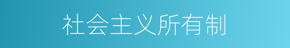 社会主义所有制的意思