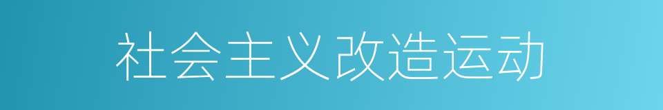 社会主义改造运动的同义词