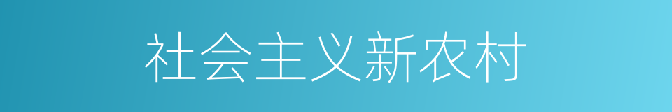 社会主义新农村的同义词