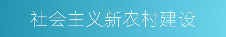 社会主义新农村建设的同义词