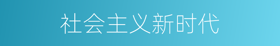 社会主义新时代的同义词