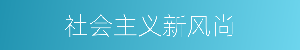 社会主义新风尚的同义词