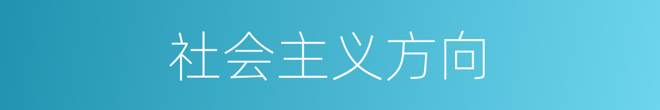 社会主义方向的同义词