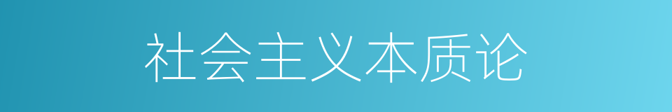 社会主义本质论的同义词