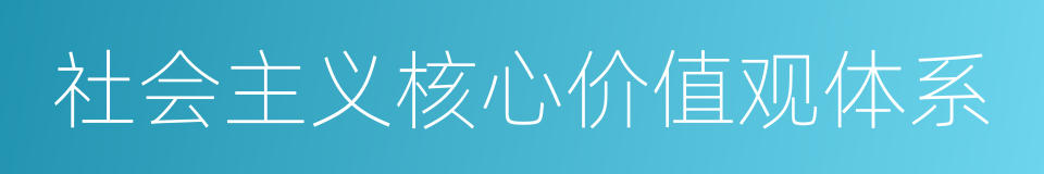 社会主义核心价值观体系的同义词