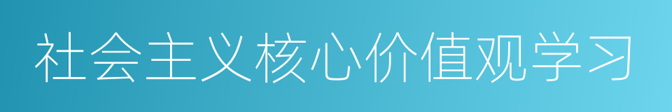 社会主义核心价值观学习的同义词