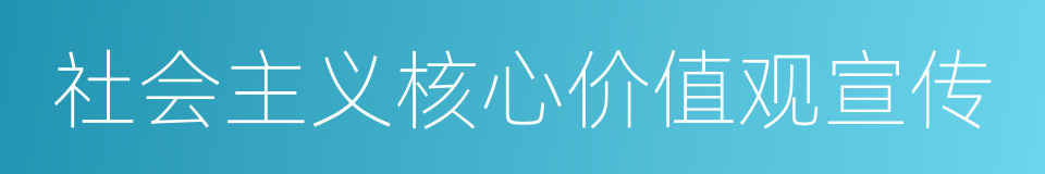 社会主义核心价值观宣传的同义词