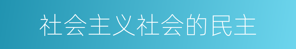 社会主义社会的民主的同义词