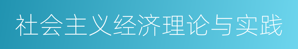 社会主义经济理论与实践的同义词