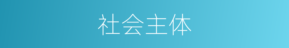 社会主体的同义词