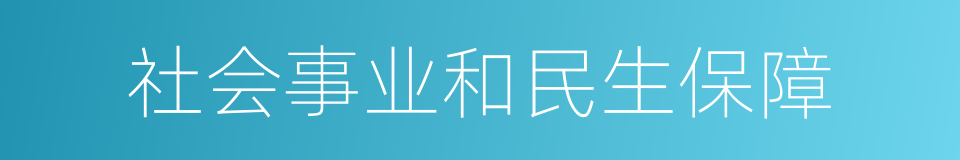 社会事业和民生保障的同义词