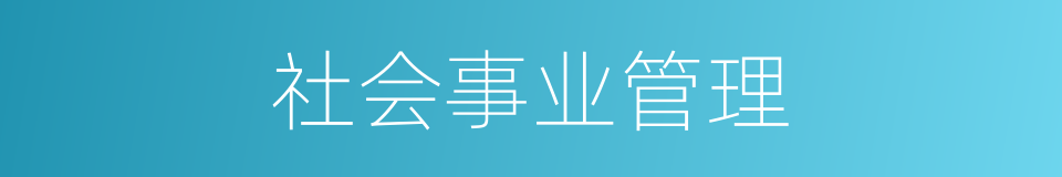社会事业管理的同义词