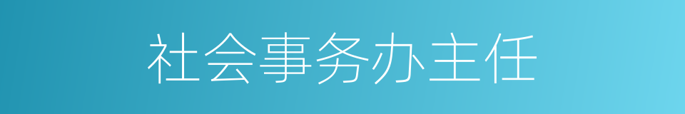 社会事务办主任的同义词