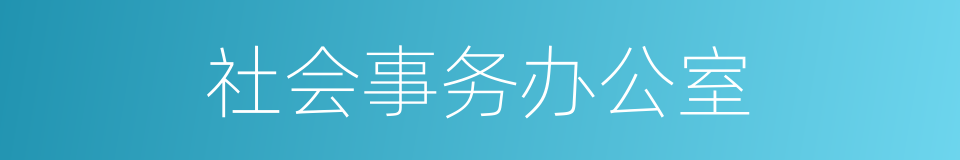 社会事务办公室的同义词