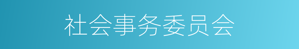 社会事务委员会的同义词