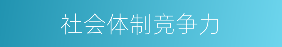 社会体制竞争力的同义词