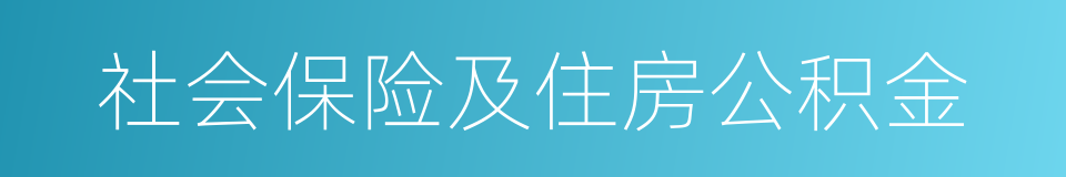 社会保险及住房公积金的同义词