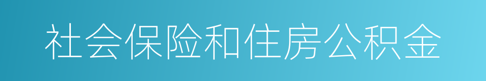 社会保险和住房公积金的同义词