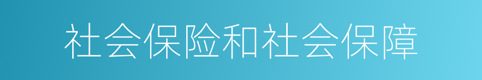 社会保险和社会保障的同义词