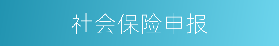 社会保险申报的同义词